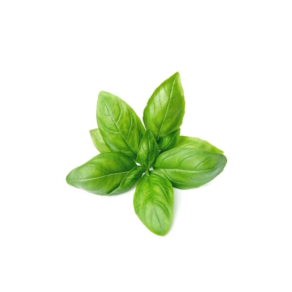 Босилек от COTTO FRESH
