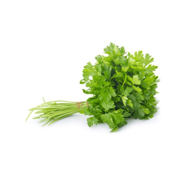 Кориандър от COTTO FRESH