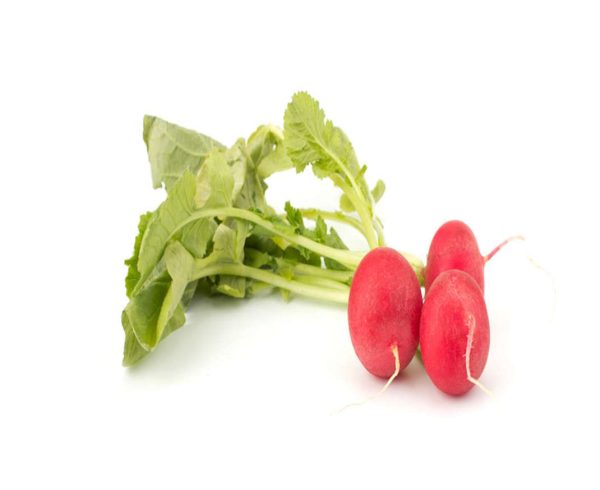 Radish